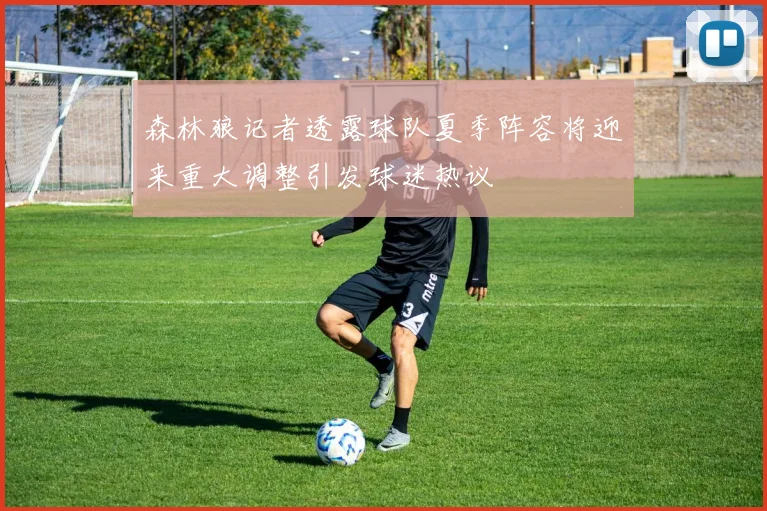 森林狼记者透露球队夏季阵容将迎来重大调整引发球迷热议