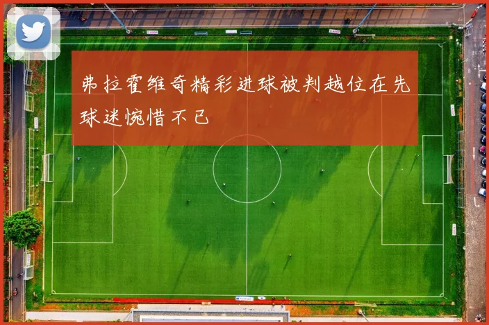 弗拉霍维奇精彩进球被判越位在先球迷惋惜不已